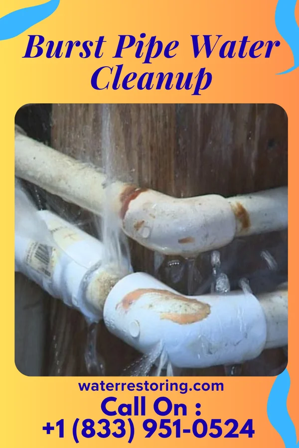 Burst Pipe Water Cleanup in Landrum, SC