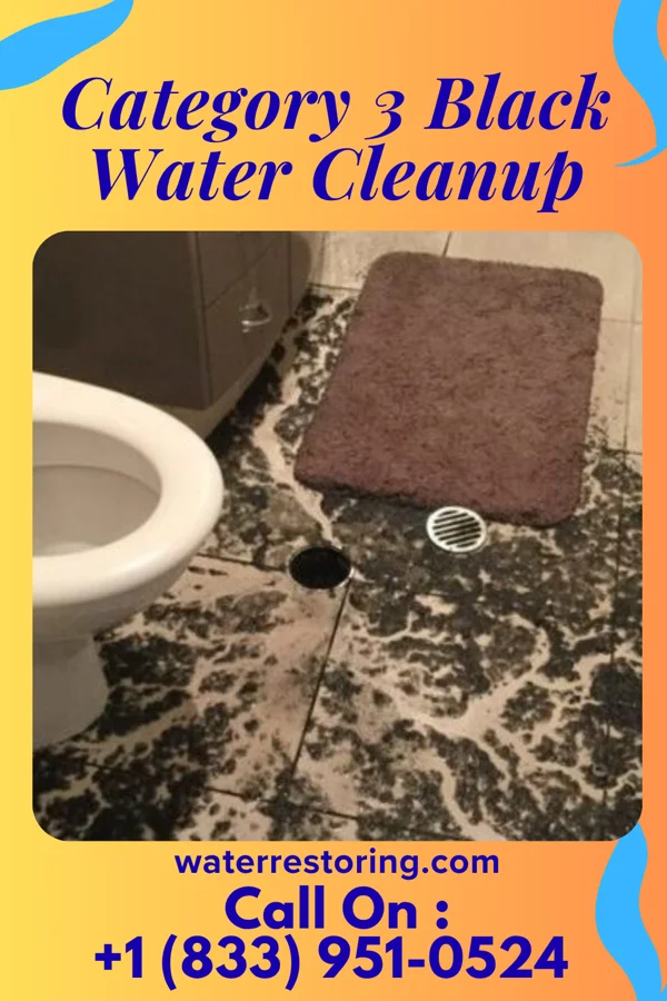 Category 3 Black Water Cleanup in Landrum, SC