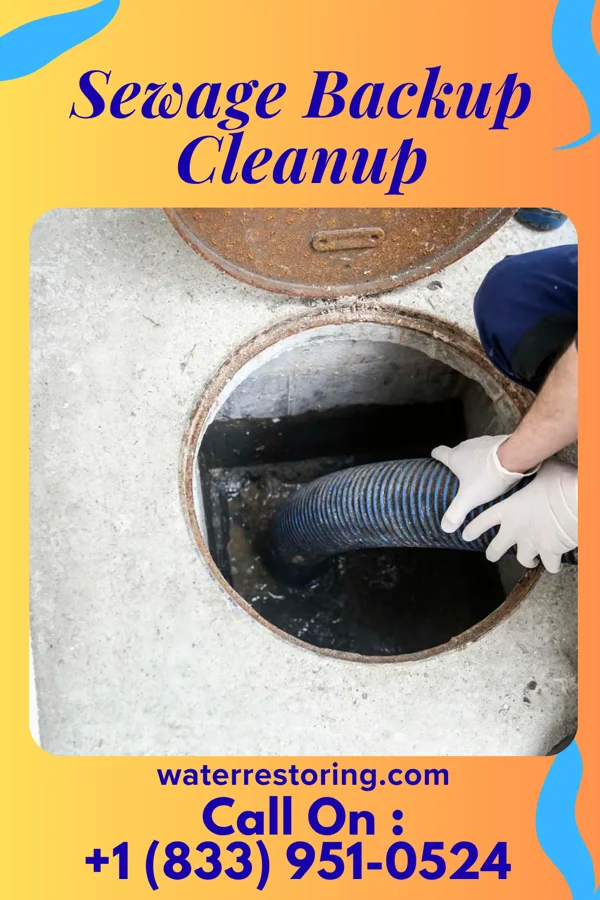Sewage Backup Cleanup in Landrum, SC