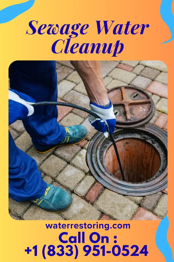 Sewage Water Cleanup in Landrum, SC